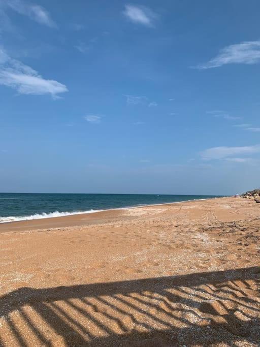 Ormond Beach, Fun & Loving Sun! المظهر الخارجي الصورة